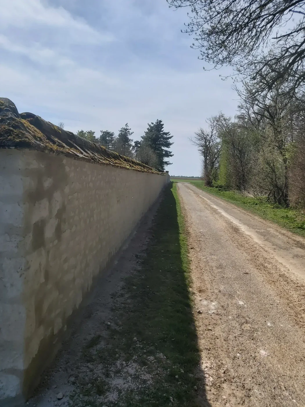 Odnowienie kamiennego muru — zdjęcie 1